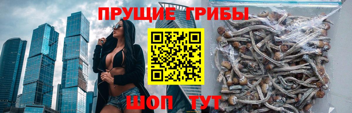 Галлюциногенные грибы мицелий  цена наркотик  Аша  Вход с VPN 