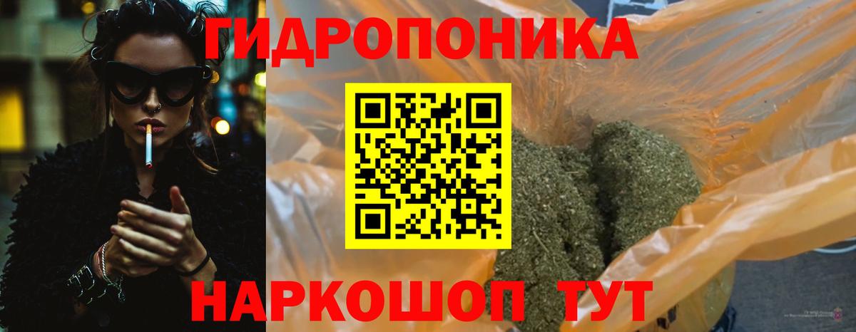Канабис гибрид  Вход с VPN  Бошки марихуана White Widow  Аша  Бошки марихуана сатива 